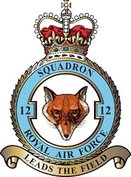12 squadron badge