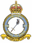 196 Squadron Crest