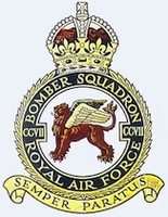 207 squadron badge
