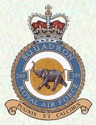 249 Squadron Crest