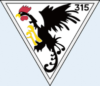 315 squadron badge
