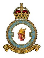 350 squadron badge
