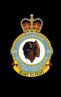 404 squadron badge