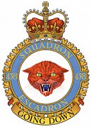 438 Squadron Crest