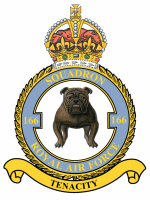 166 squadron badge