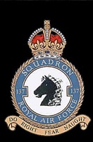 137 squadron badge