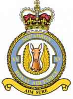 15 Squadron Crest