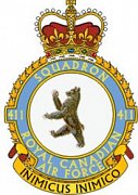 411 Squadron Crest