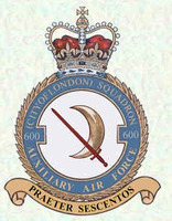 600 squadron badge